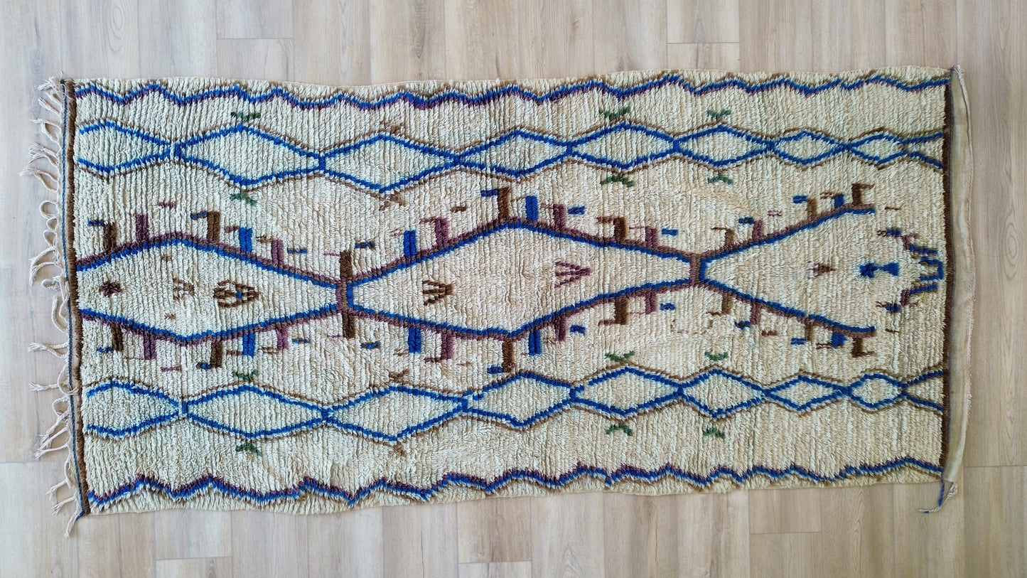 AORug#1238 size.