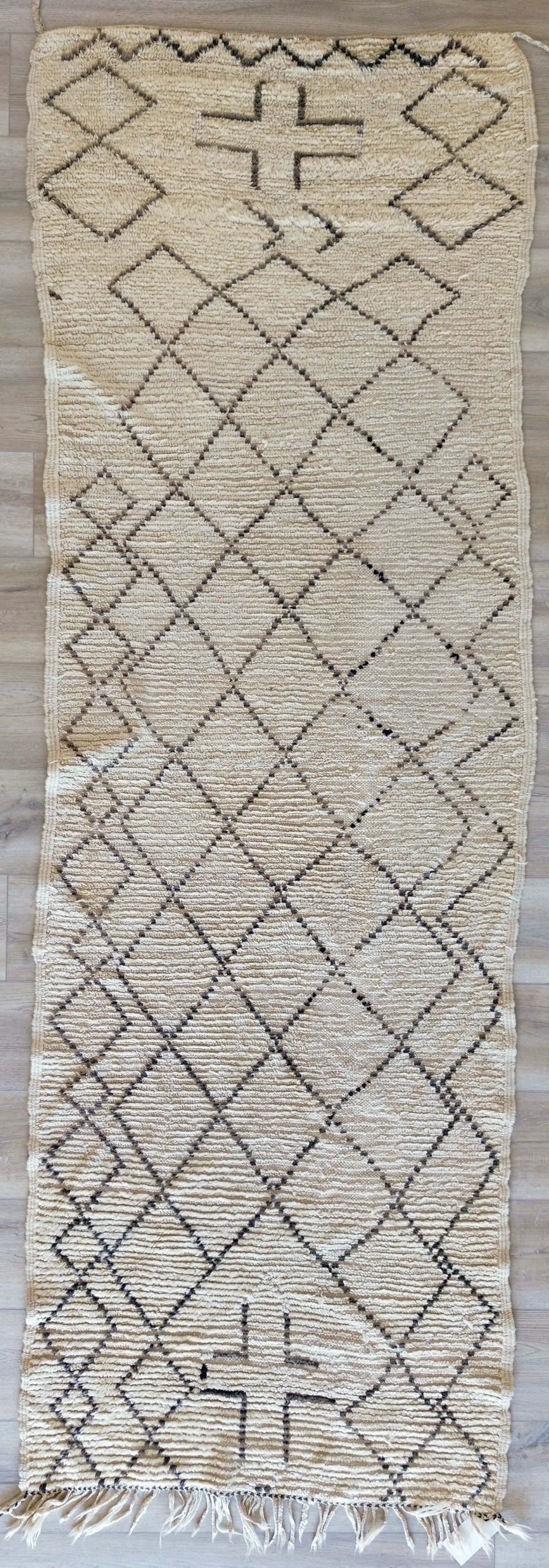 AORug#210 size.3x10