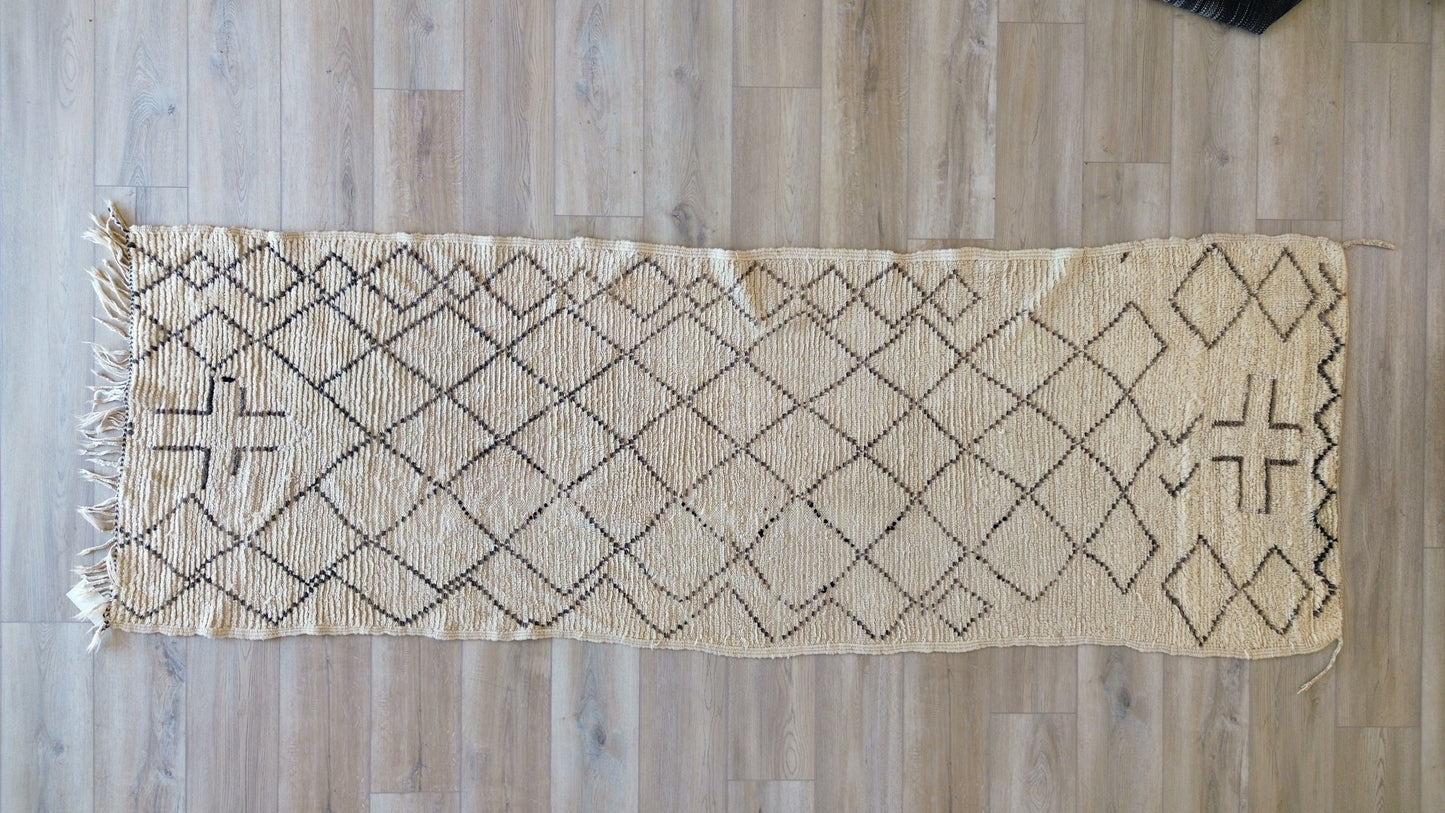 AORug#210 size.3x10