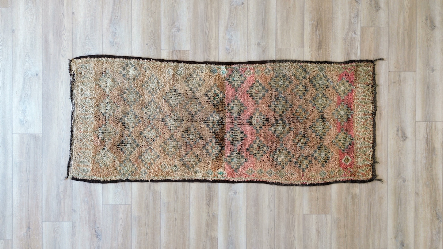 AORug#301 size.3.2x8