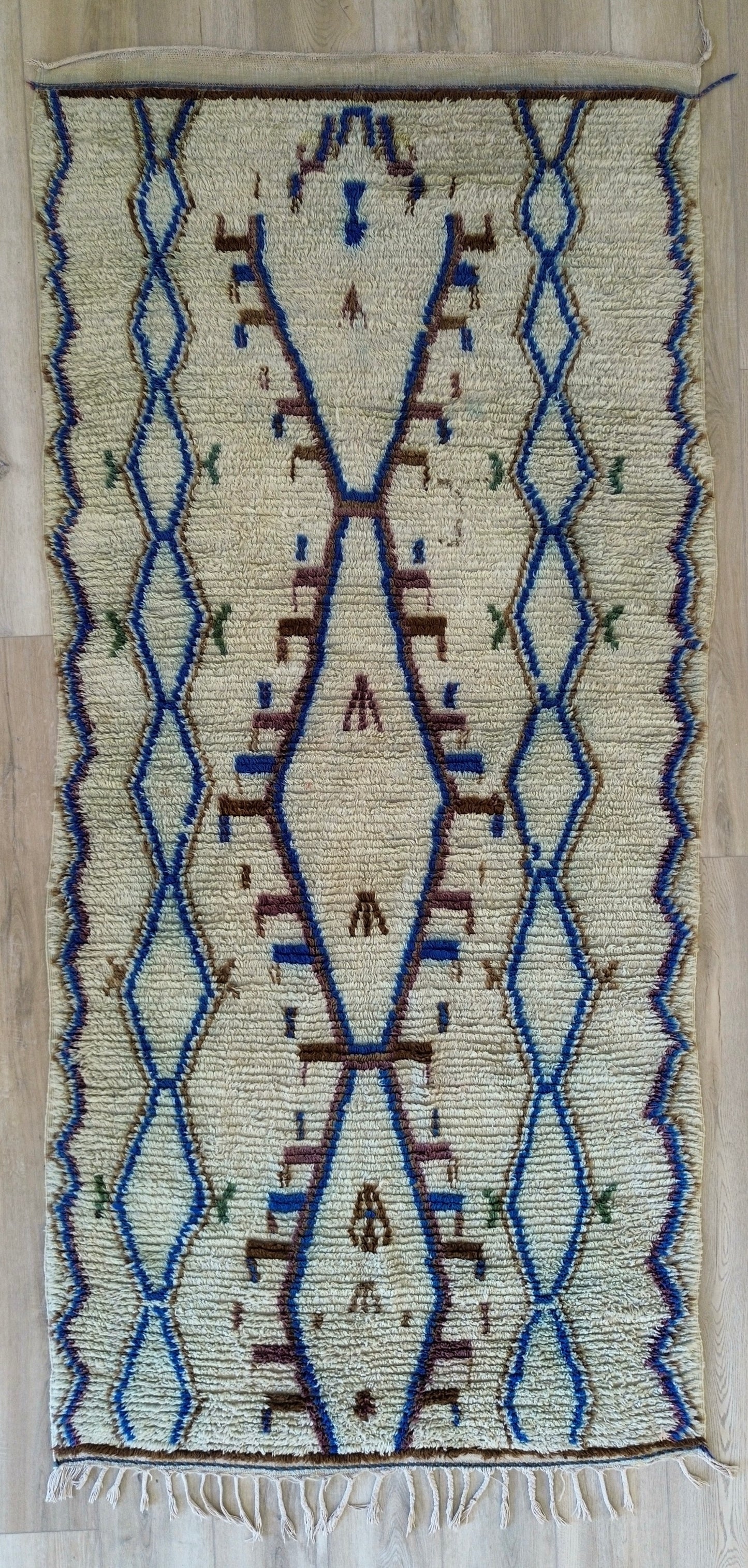 AORug#1238 size.
