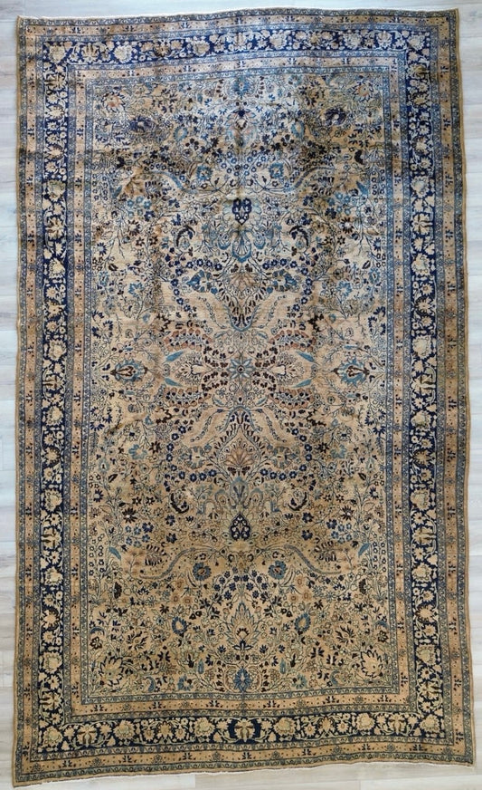 AORug#1362 size 9.10x16.4