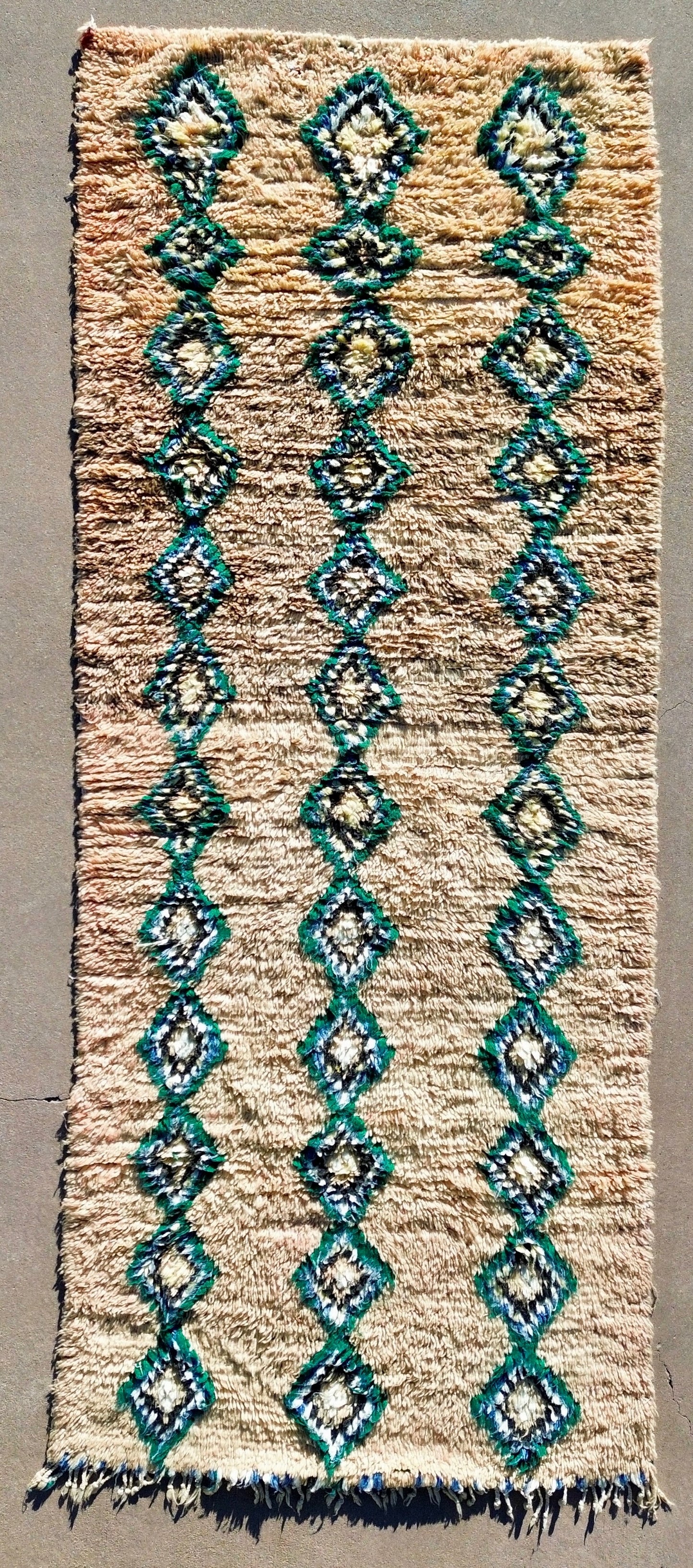 AORug#1816 size.3.4x10