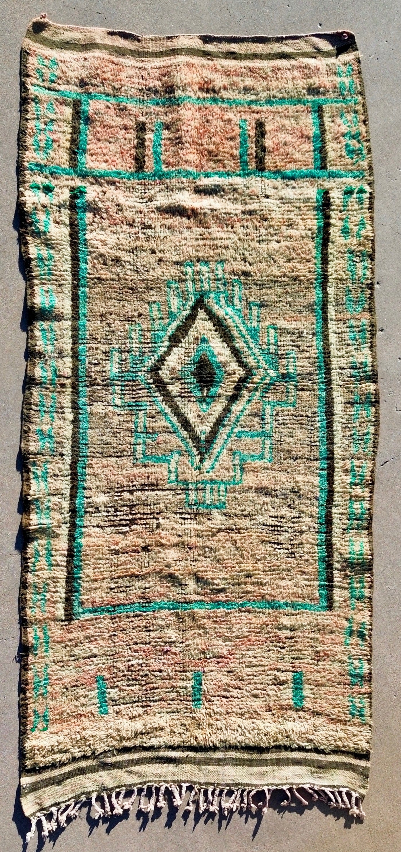 AORug#1819 size.4.3x8