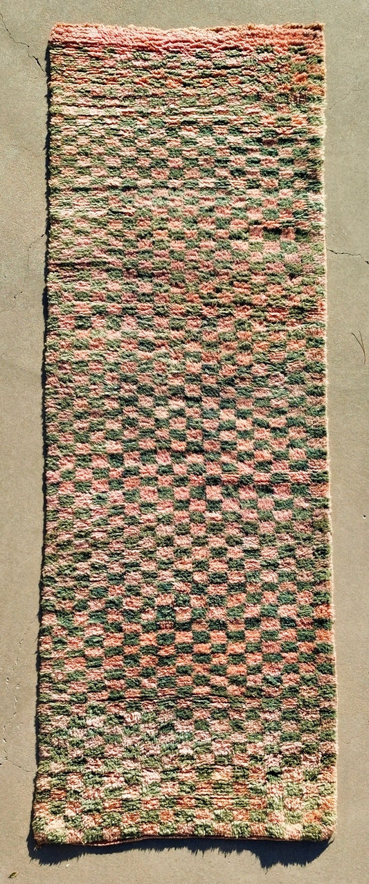 AORug#1821 size.3.2x9