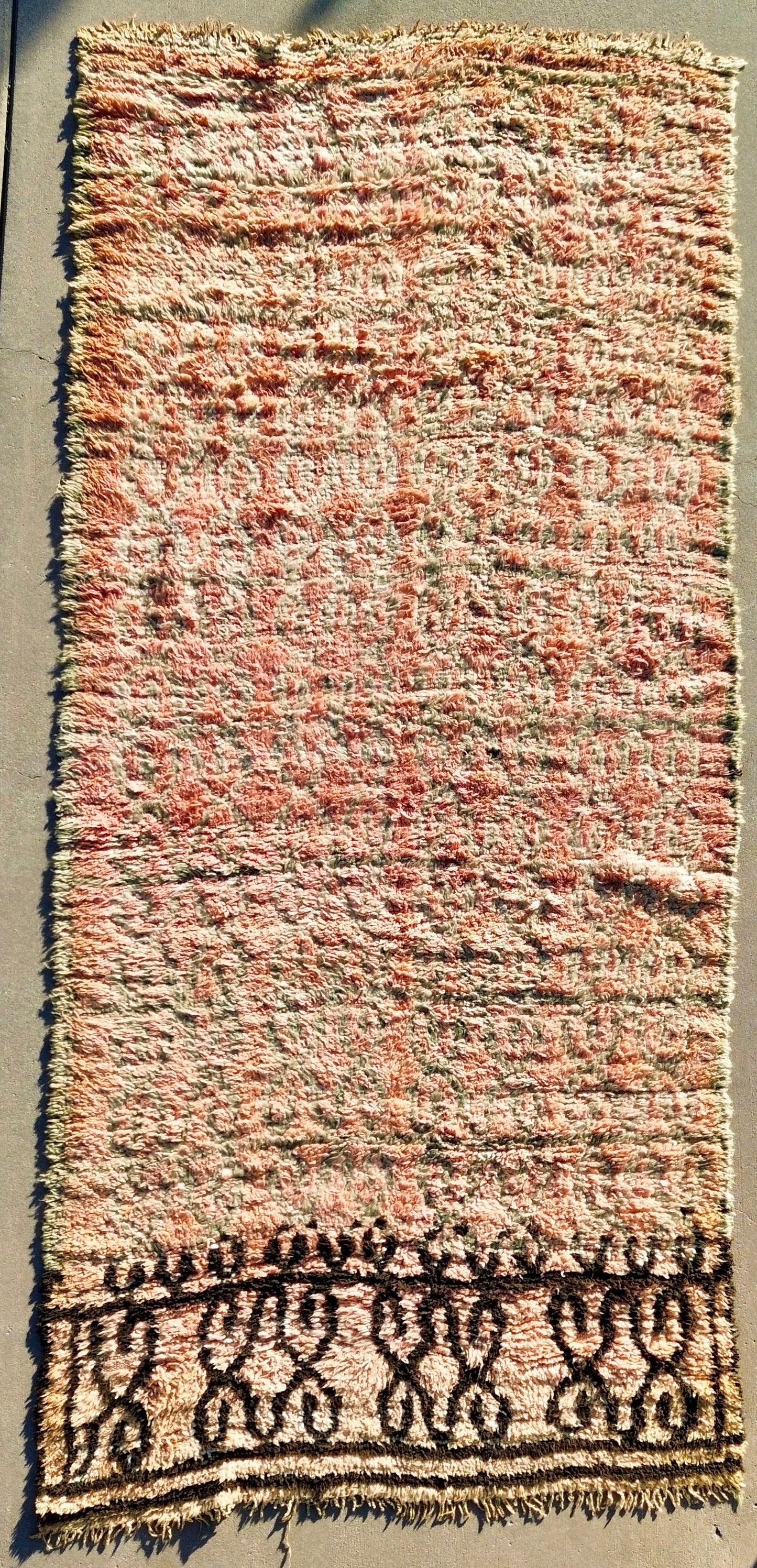 AORug#1825 size.5x10