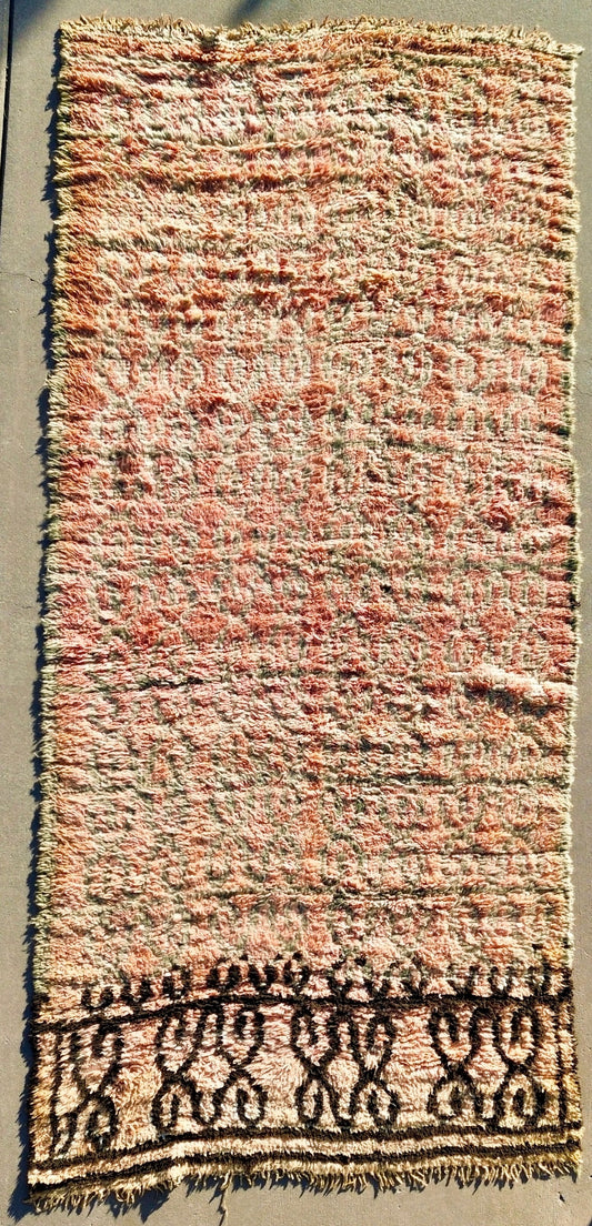 AORug#1825 size.5x10