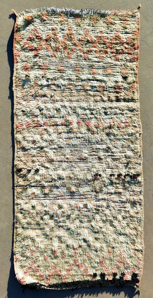 AORug#1831 size3.5x7