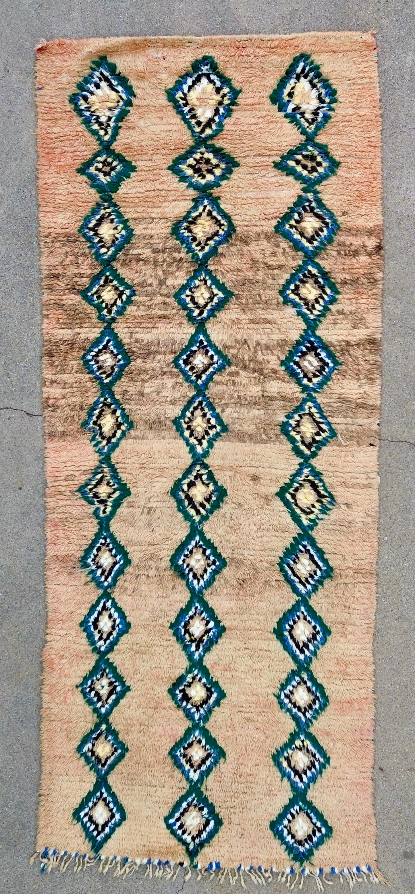 AORug#1816 size.3.4x10