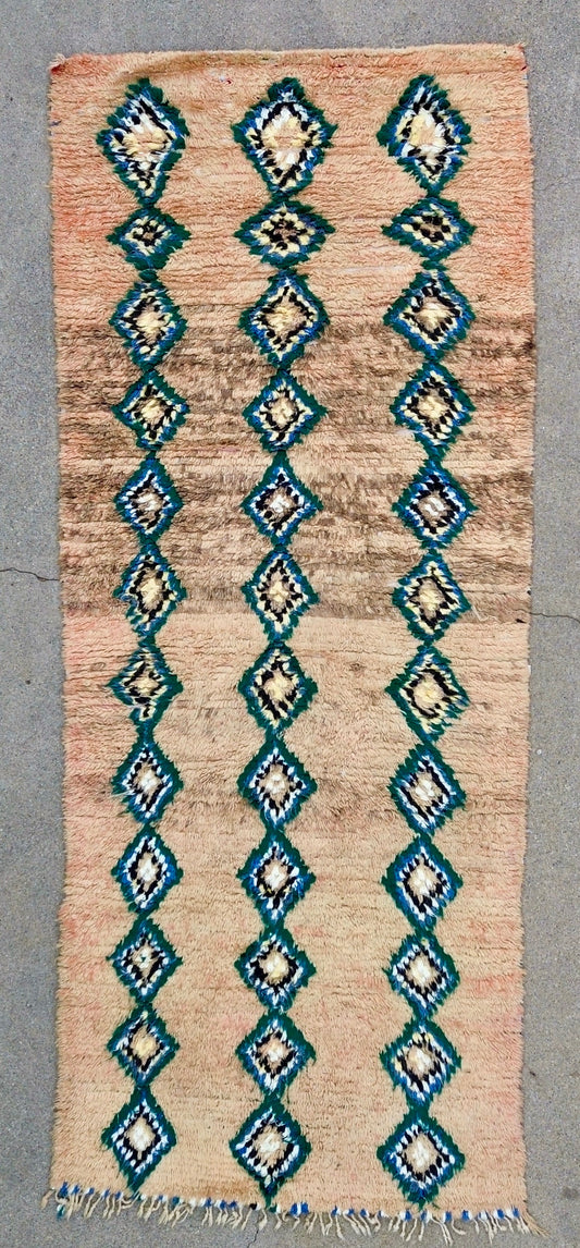 AORug#1816 size.3.4x10