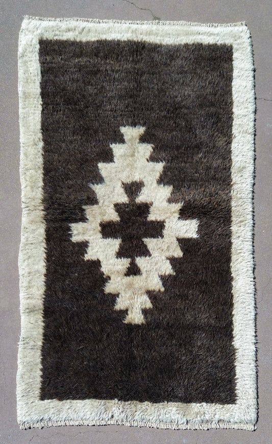 AORug#1085 size. 4 x 7