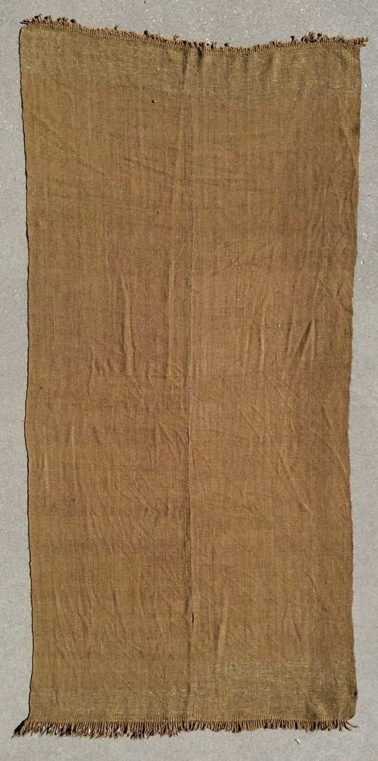 AORug#1281 size. 4 x 8.2