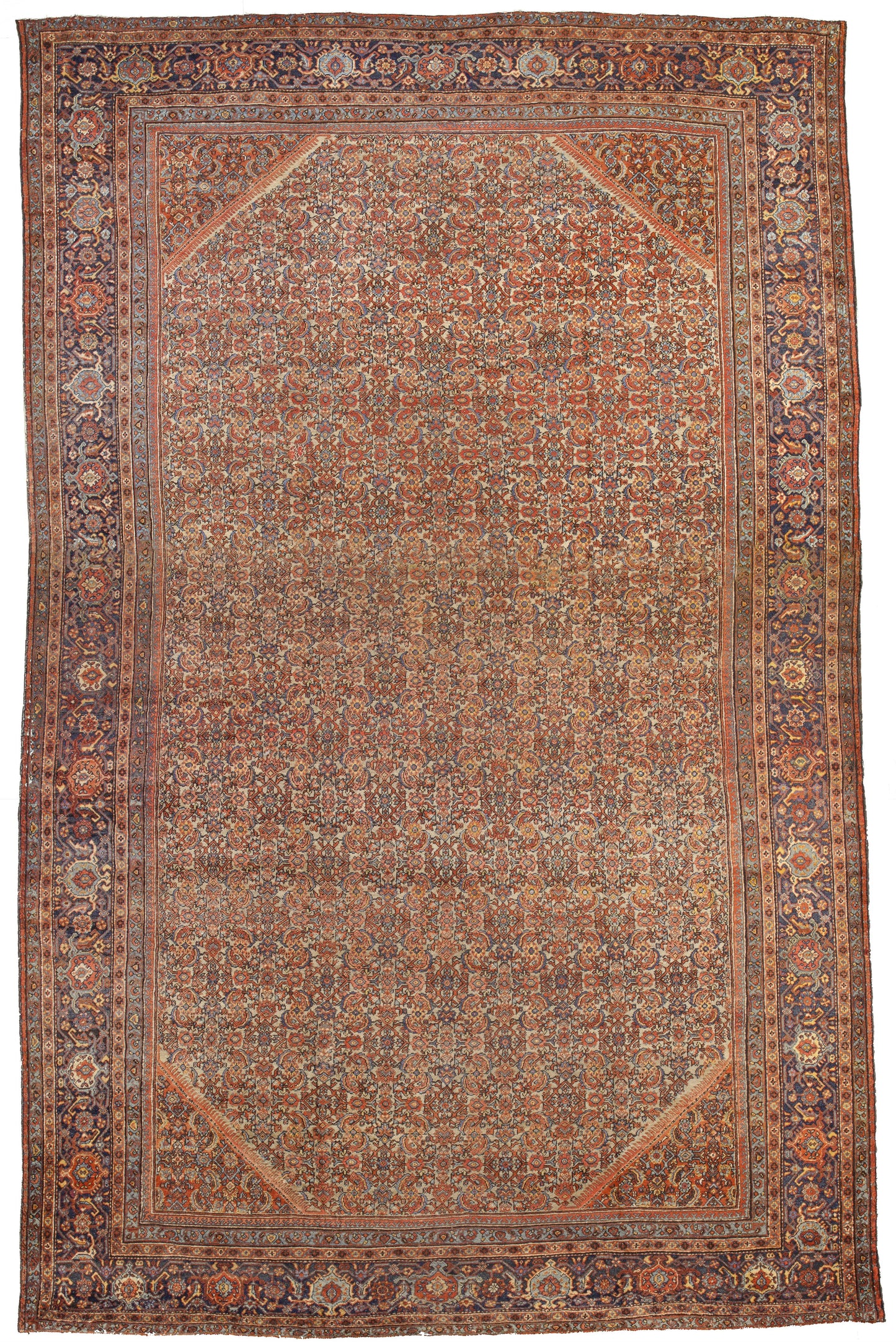 AORug#9381 size. 14' 02" x 27' 07"