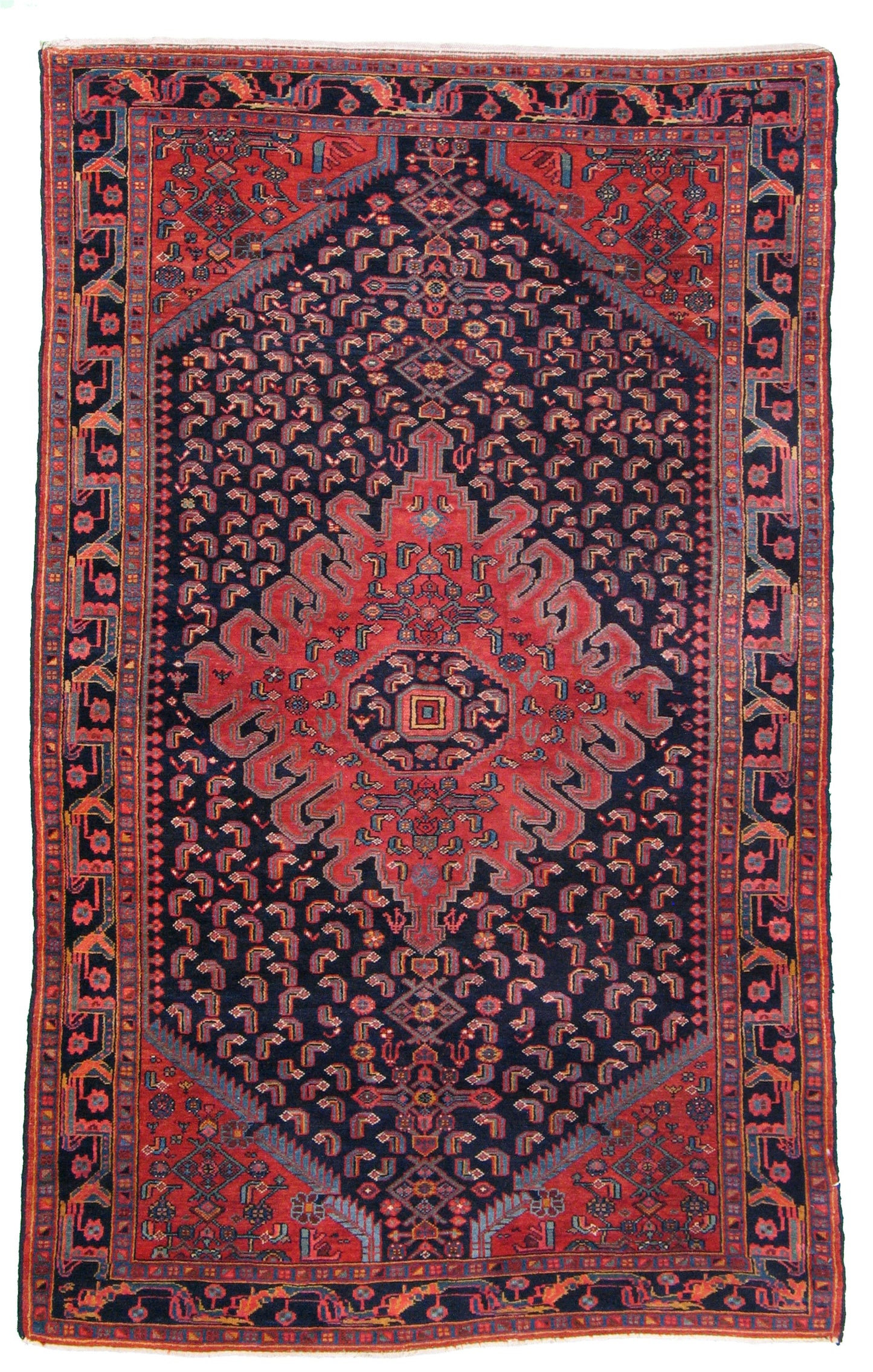 AORug#3946 size. 4' 05" x 7' 03"