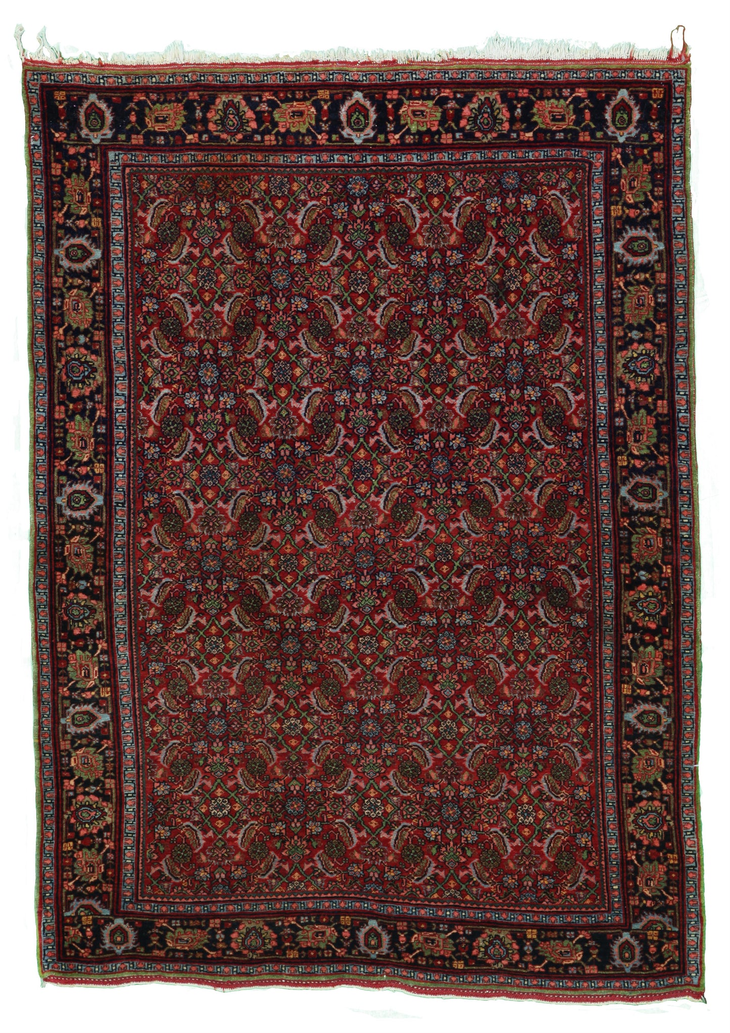 AORug#13398 size. 3' 09" x 5' 03"