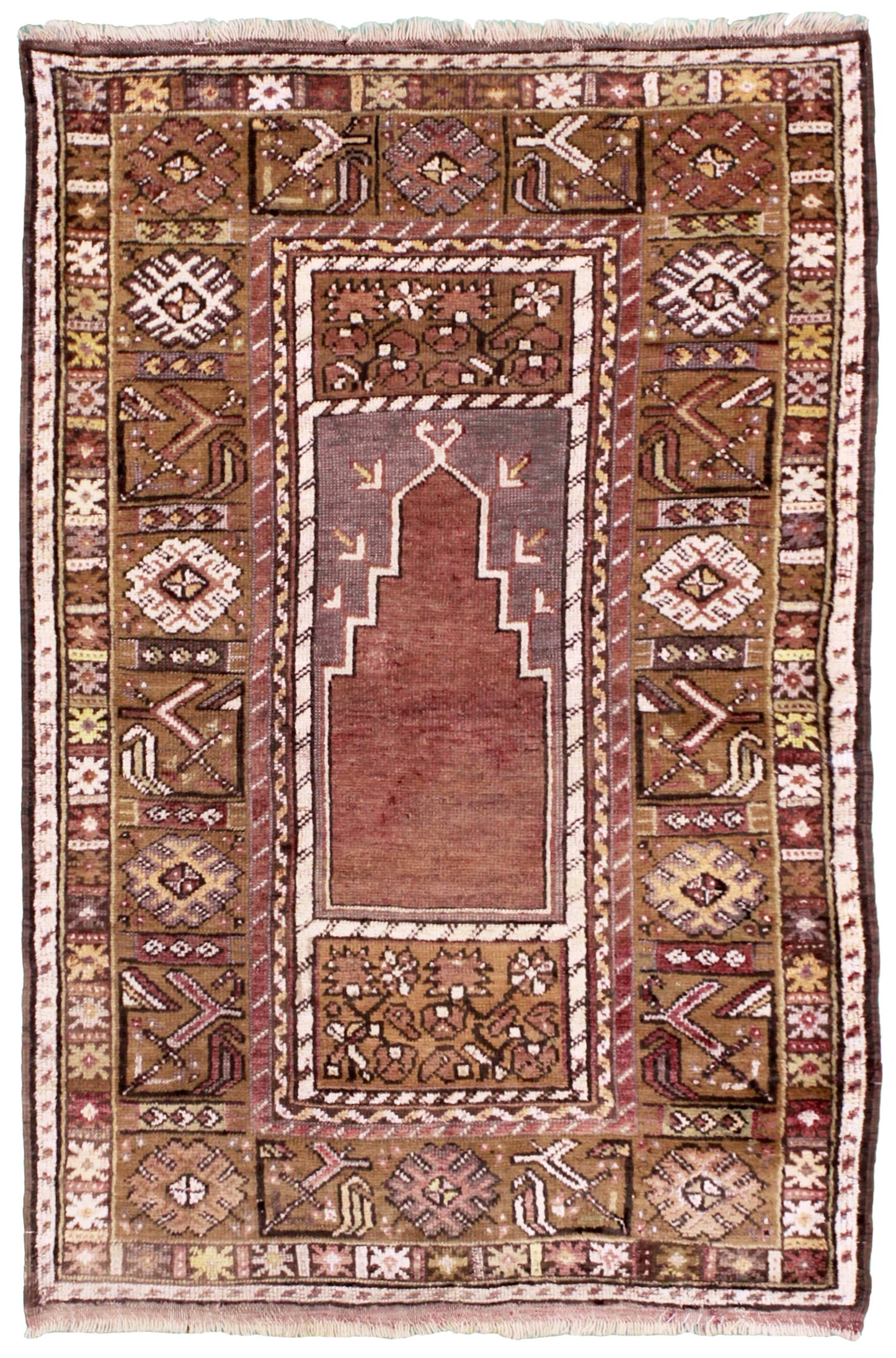 AORug#13695 size. 3' 05" x 5' 03"