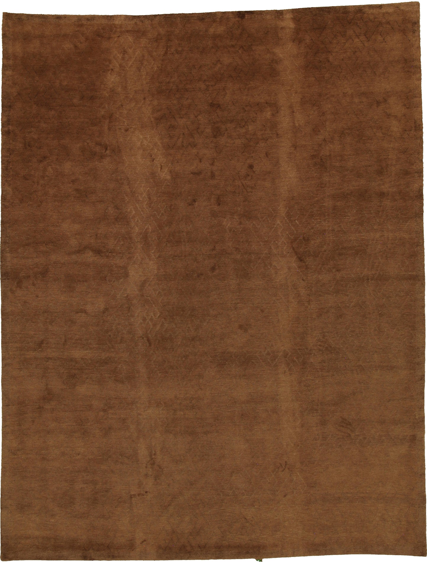 AORug#15869 size. 9' 05" x 12' 02"