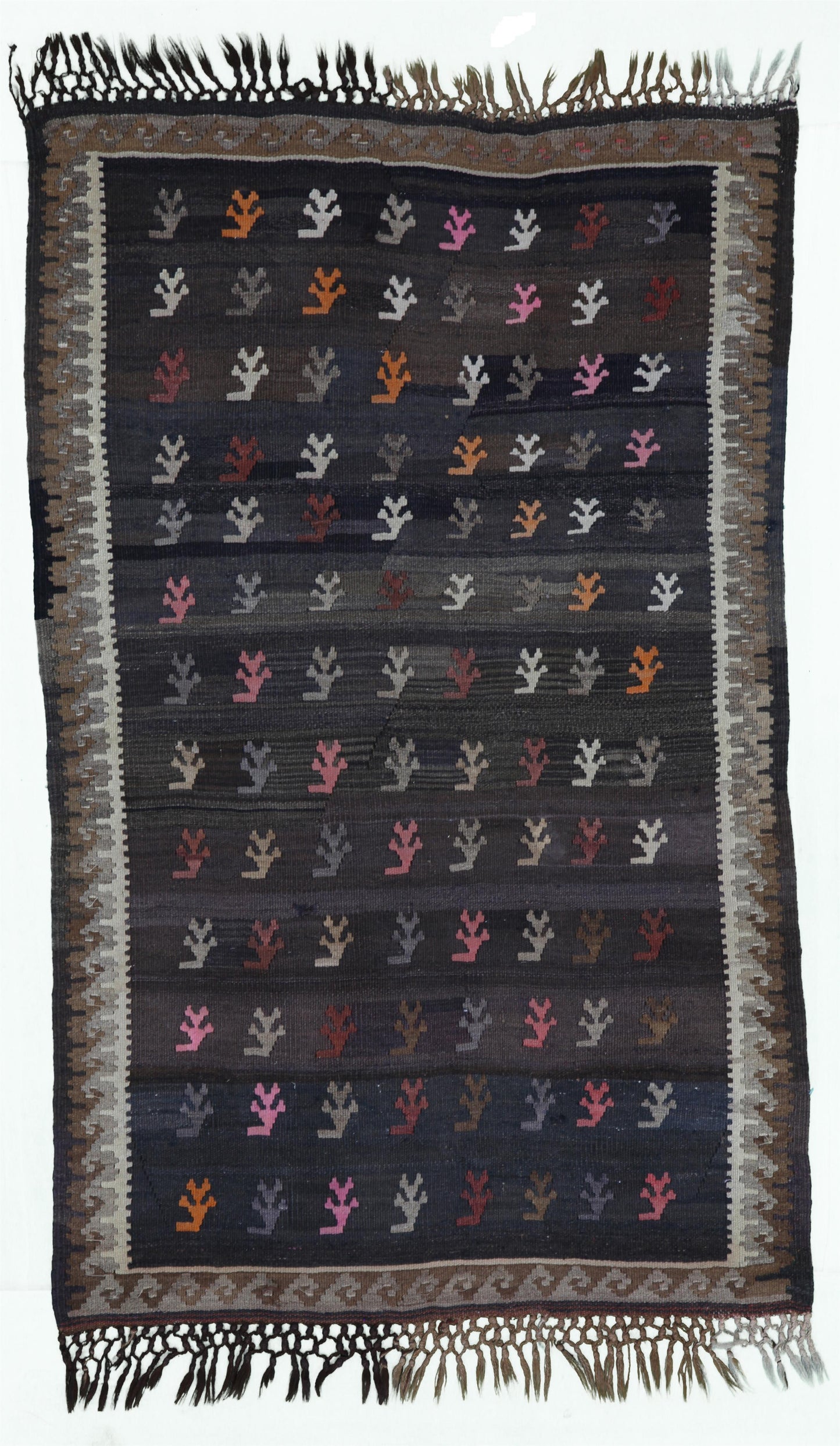 AORug#13061 size. 3' 02" x 5' 03"