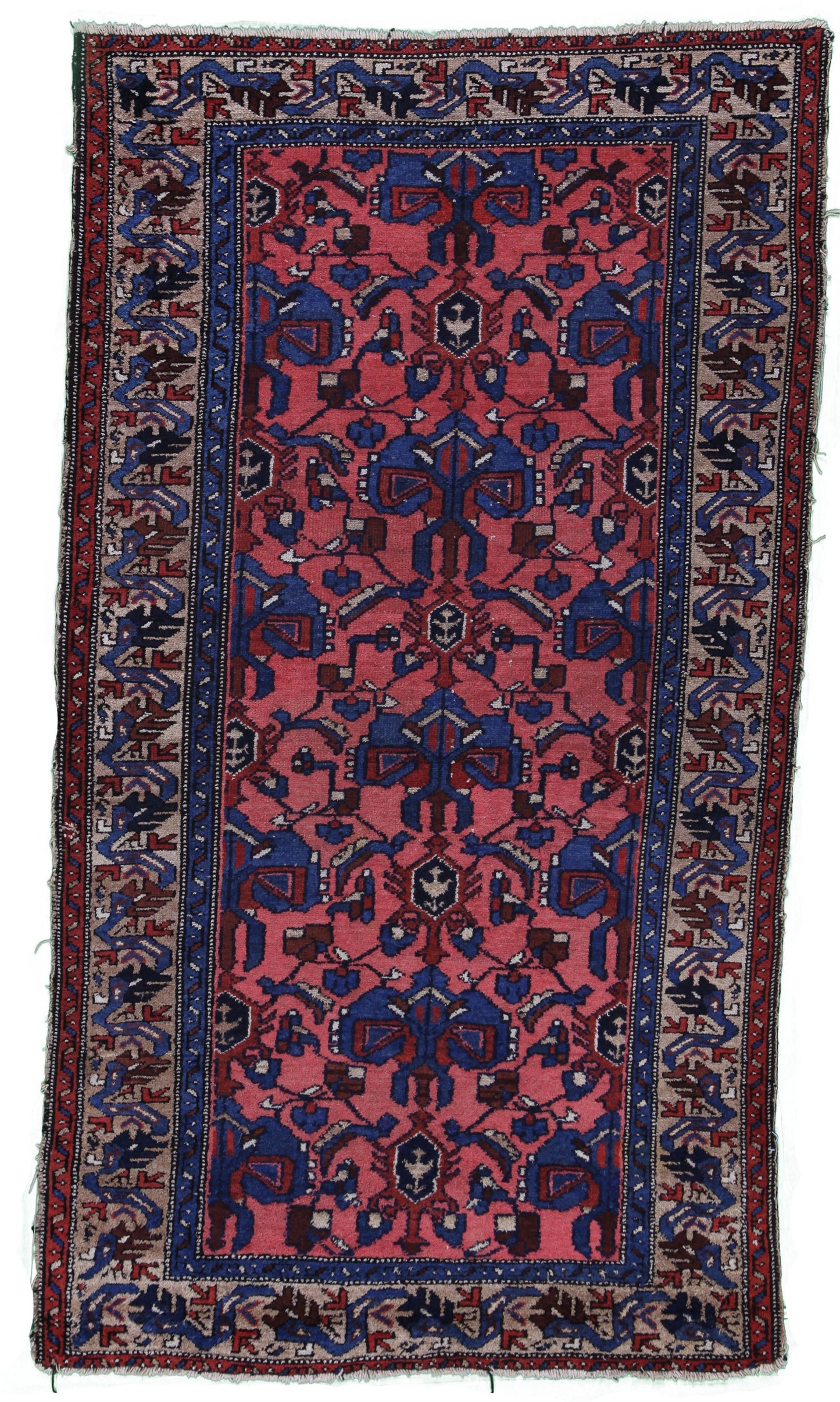AORug#13198 size. 3' 07" x 6' 05"