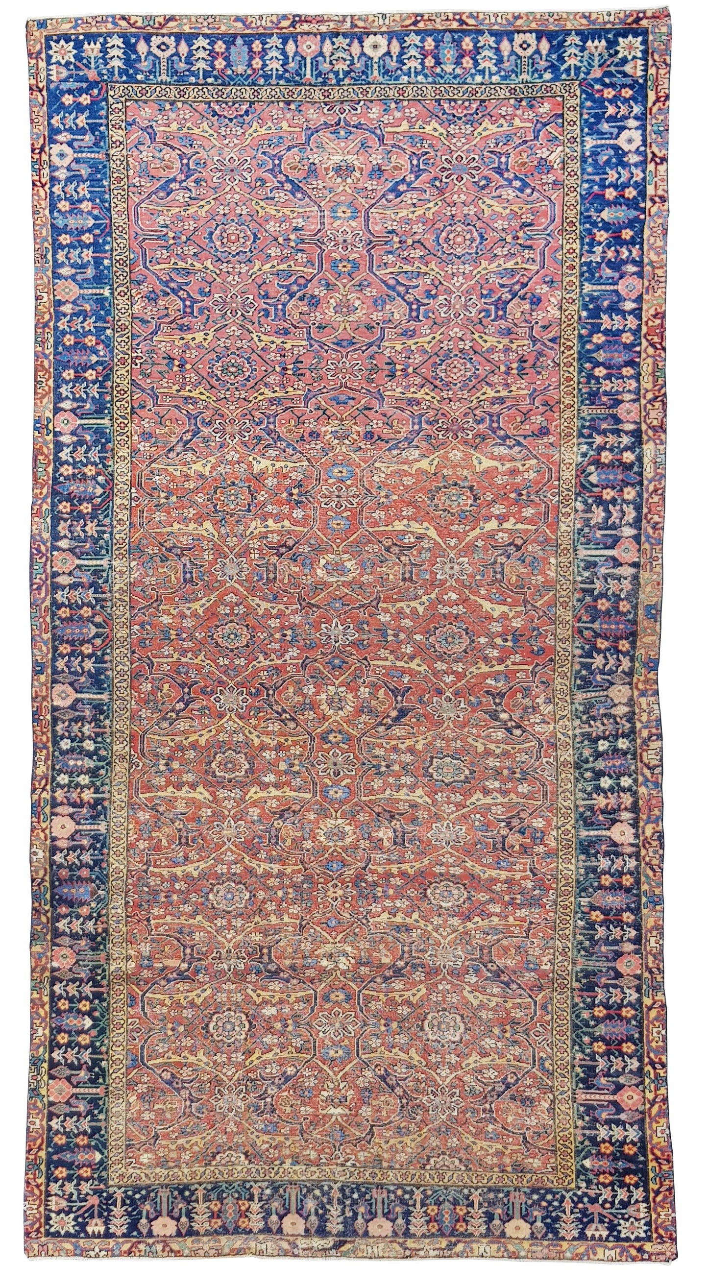AORug#8121 size. 6' 07" x 12' 09"
