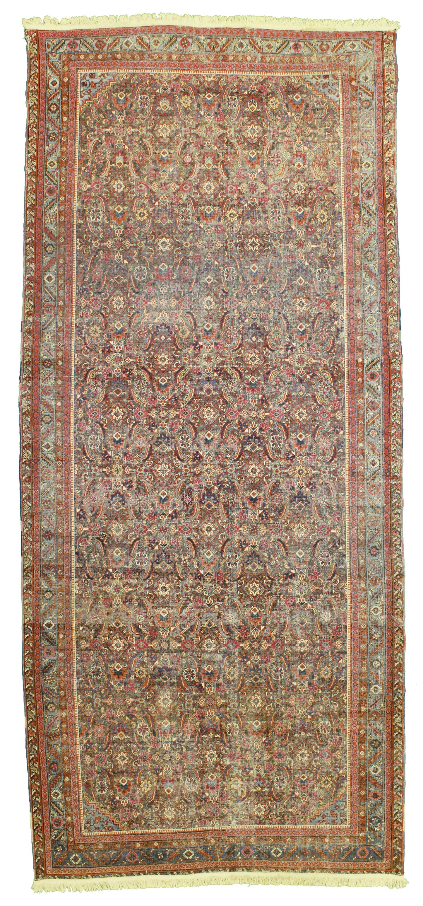 AORug#13811 size. 7' 04" x 16' 10"