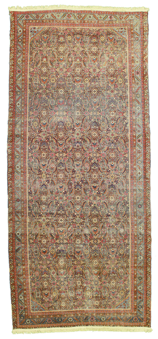 AORug#13811 size. 7' 04" x 16' 10"