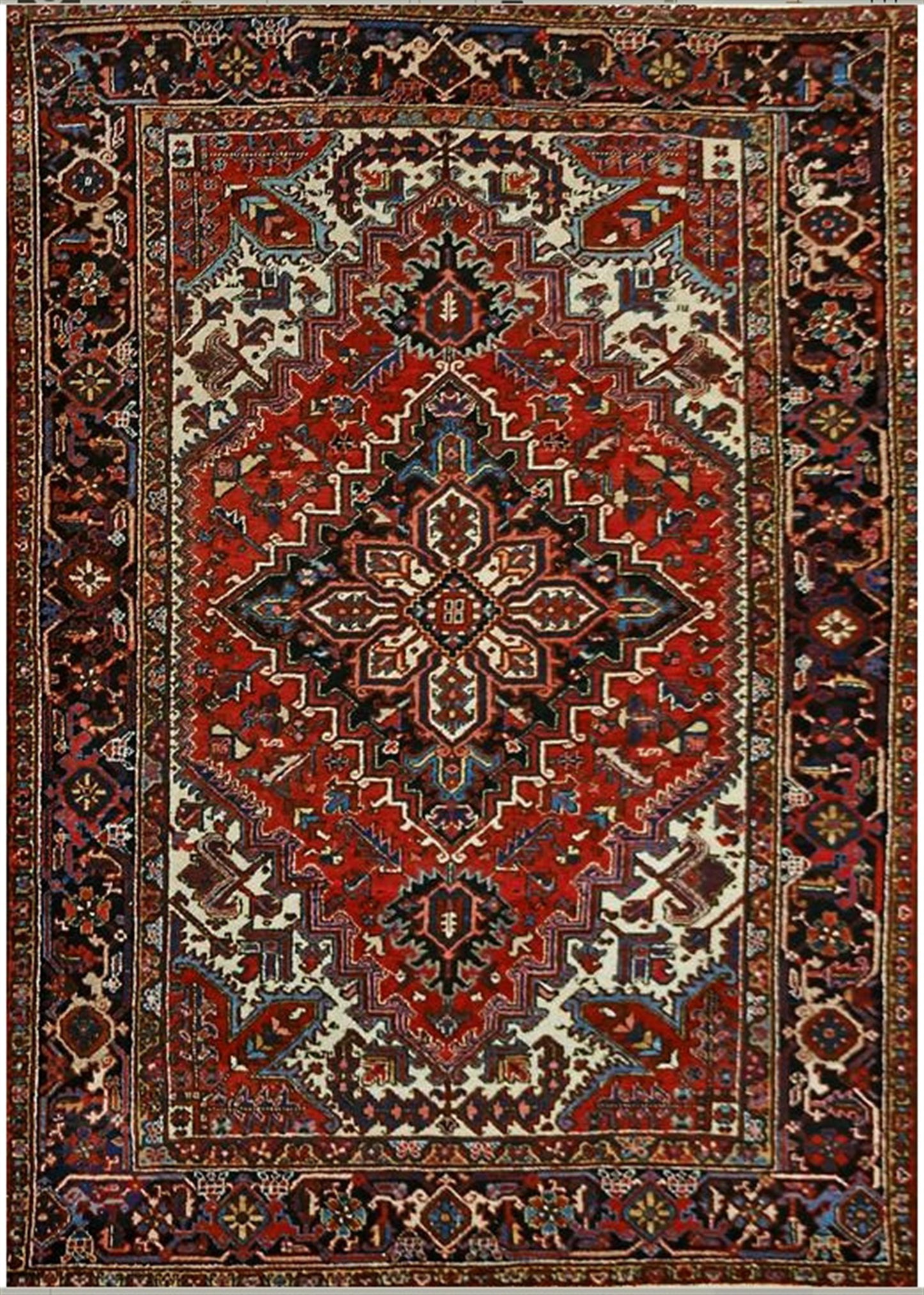 AORug#9141 size. 6' 07" x 9' 01"