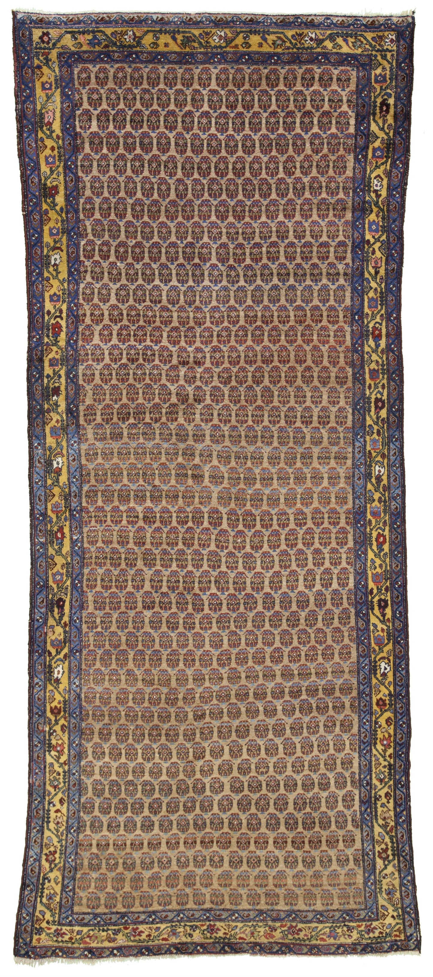 AORug#7911 size. 5' 00" x 12' 00"