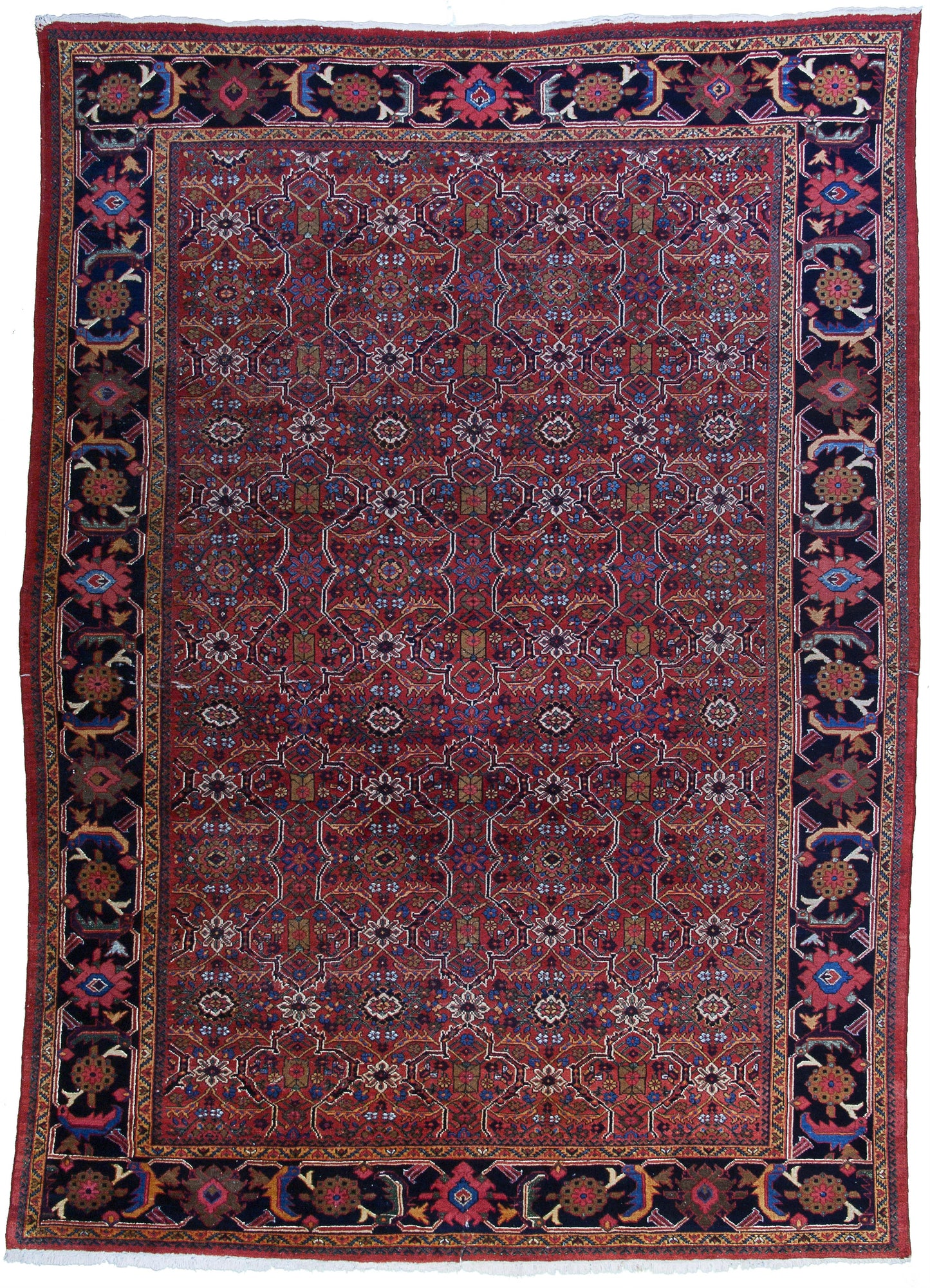 AORug#7710 size. 8' 07" x 11' 11"