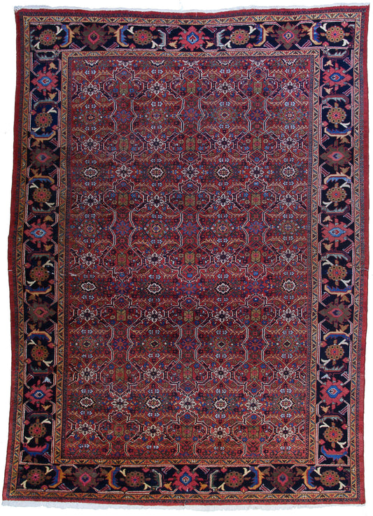 AORug#7710 size. 8' 07" x 11' 11"