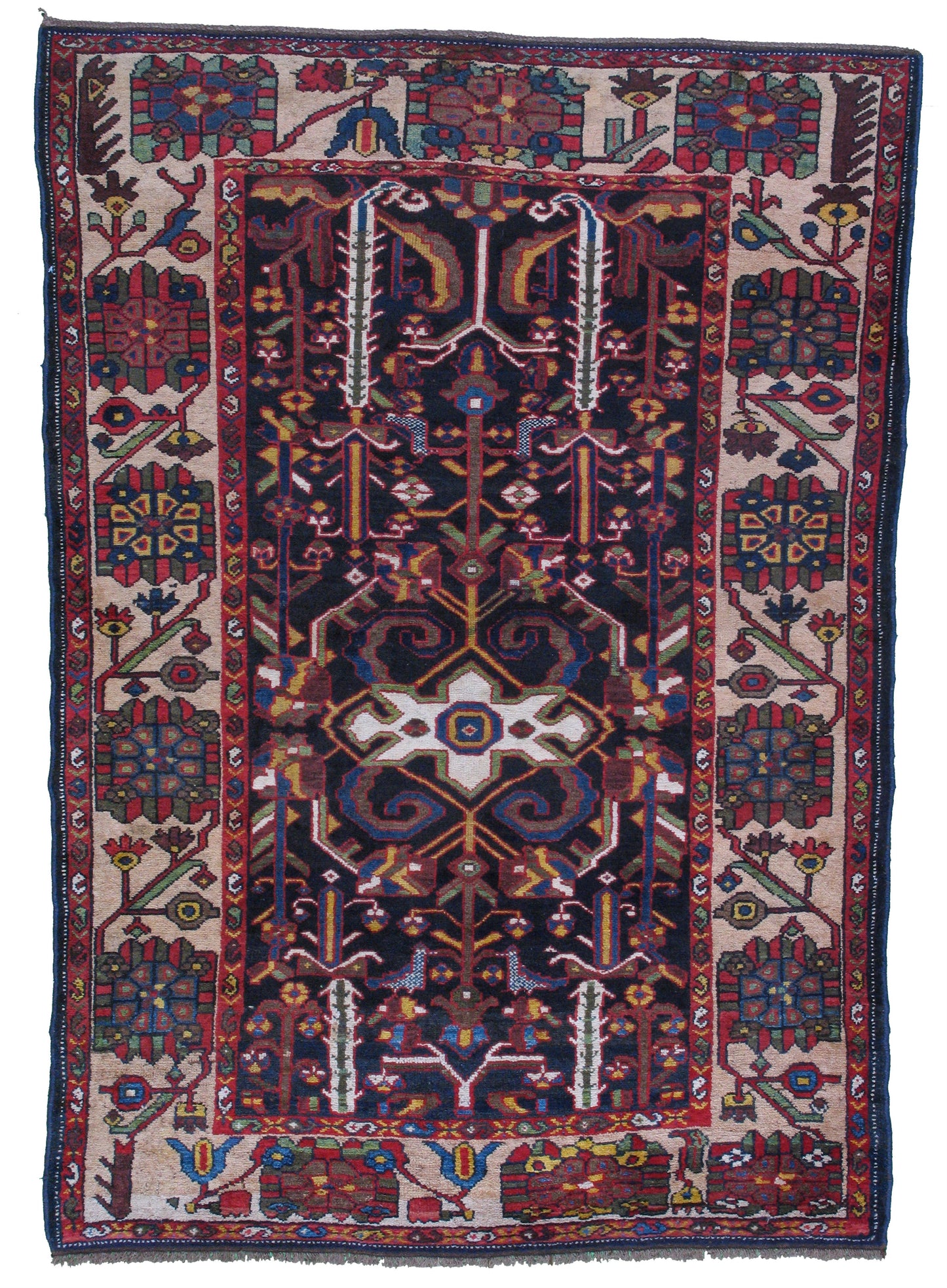 AORug#7708 size. 4' 05" x 7' 02"