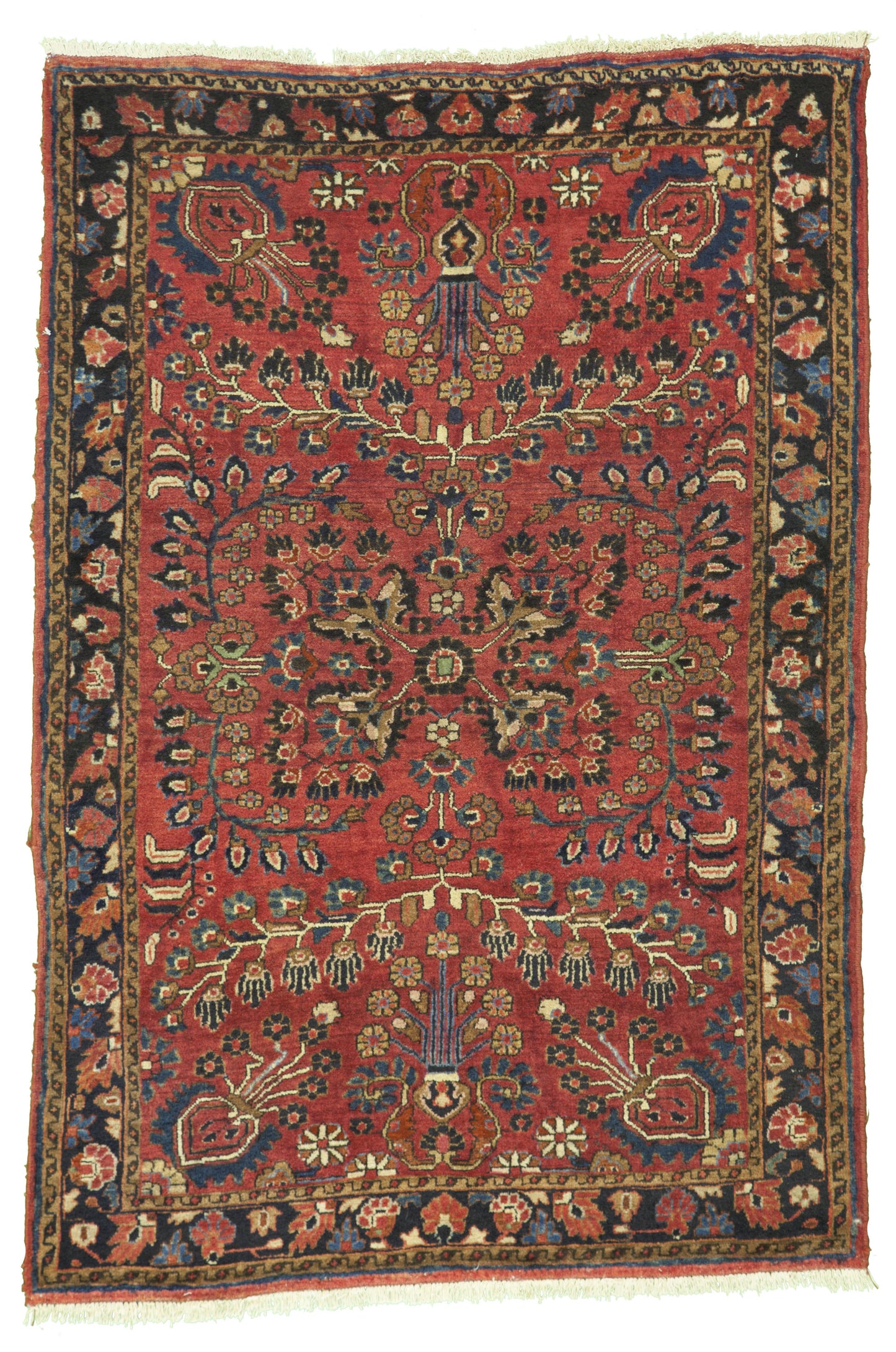 AORug#9240 size. 3' 04" x 4' 11"