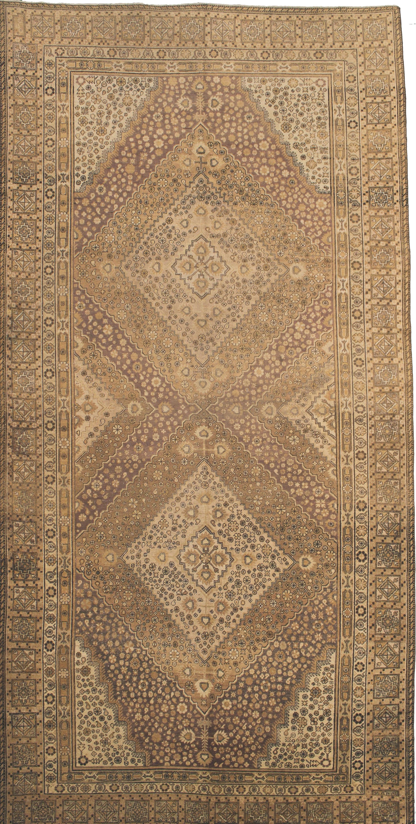 AORug#16531 size. 8' 10" x 18' 00"