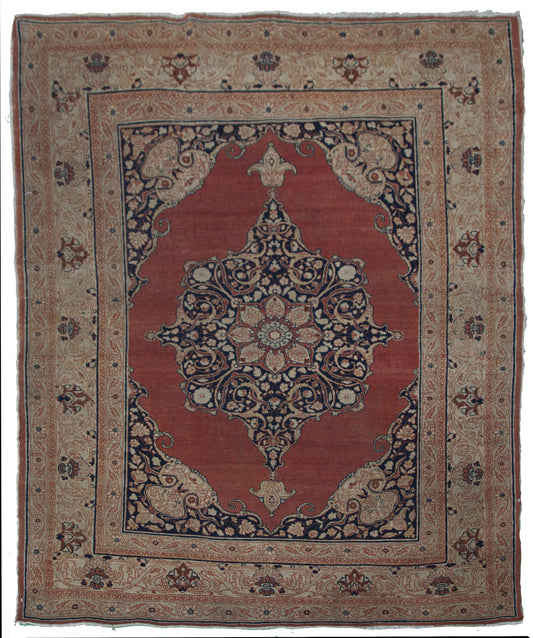 AORug#10221 size. 4' 00" x 5' 10"