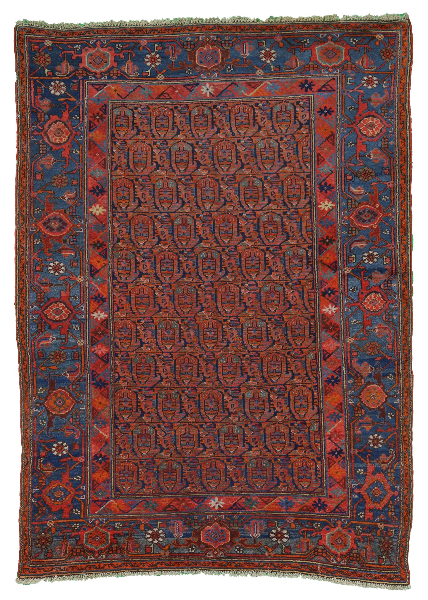 AORug#13025 size. 4' 07" x 6' 02"