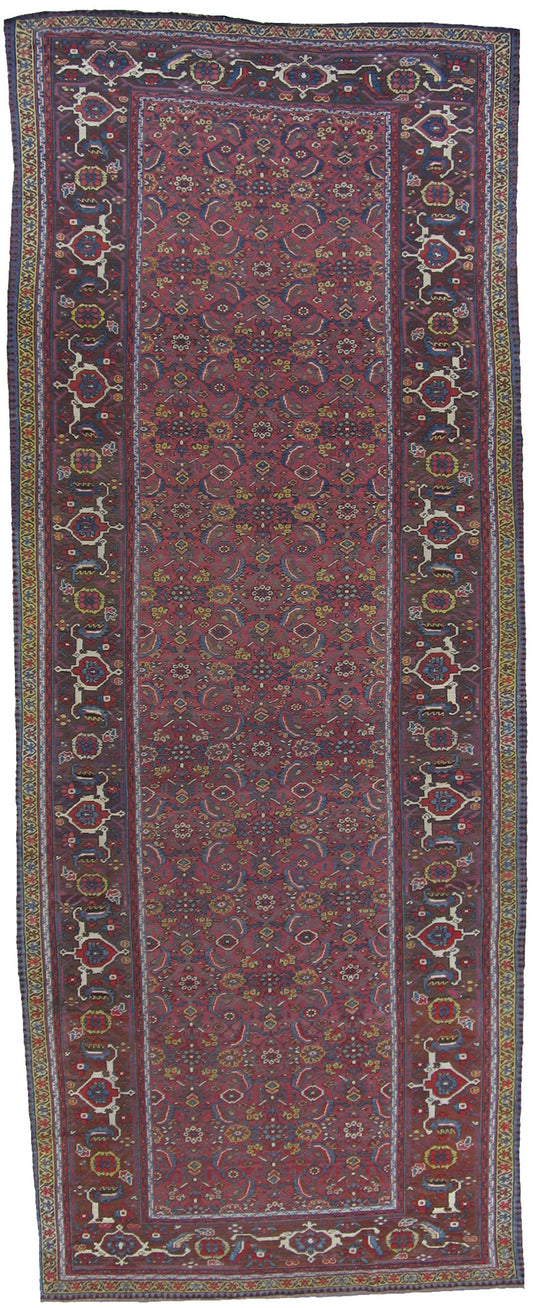 AORug#3527 size. 6' 05" x 16' 02"