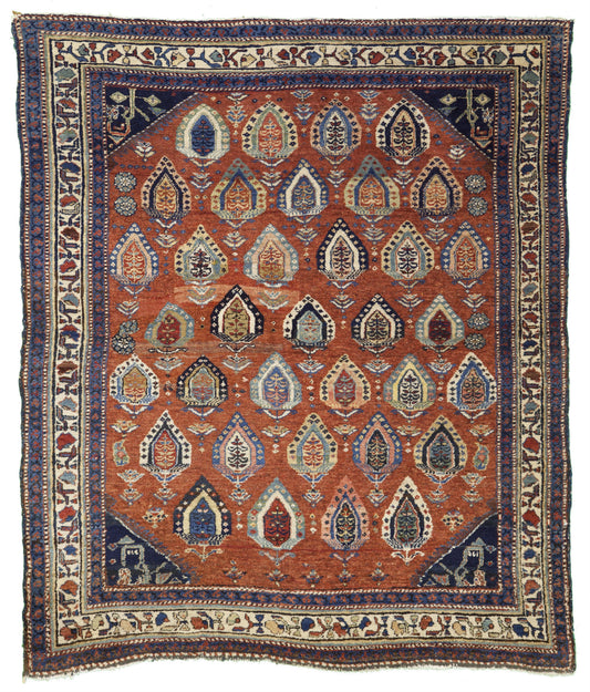 AORug#8174 size. 4' 06" x 5' 03"
