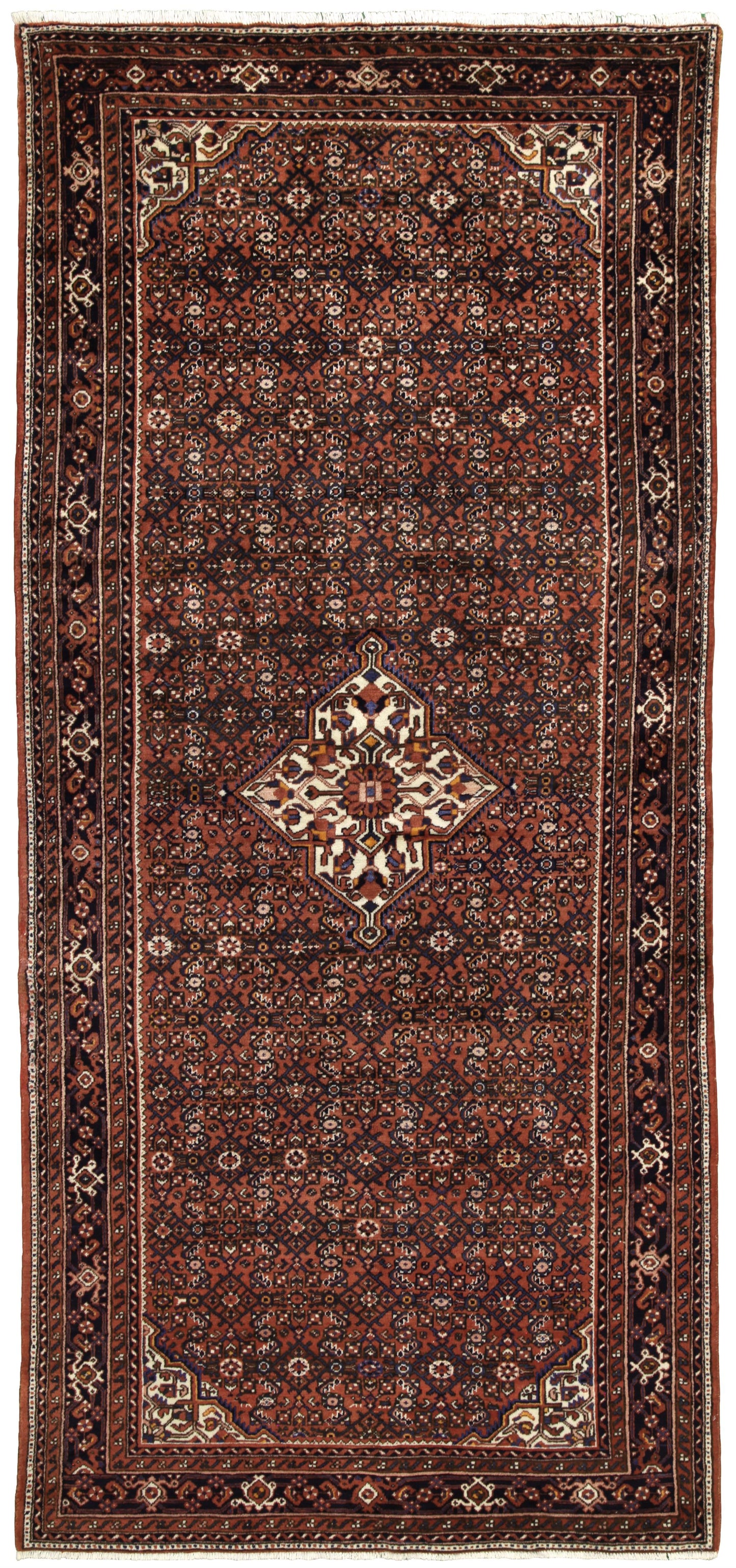 AORug#17520 size. 5' 07" x 11' 10"