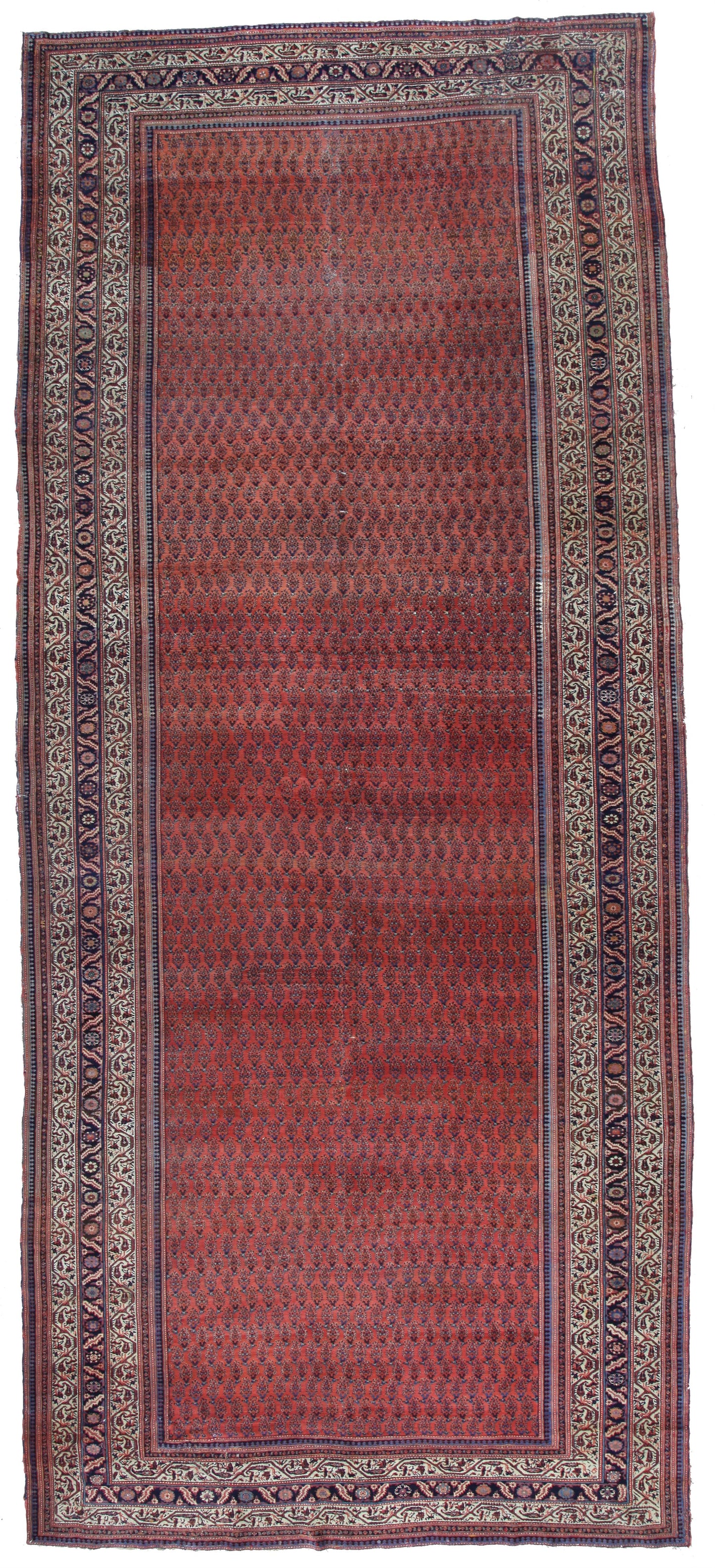 AORug#12856 size. 8' 03" x 19' 03"