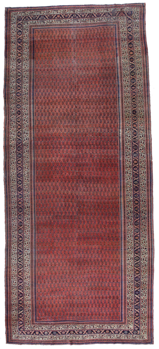 AORug#12856 size. 8' 03" x 19' 03"