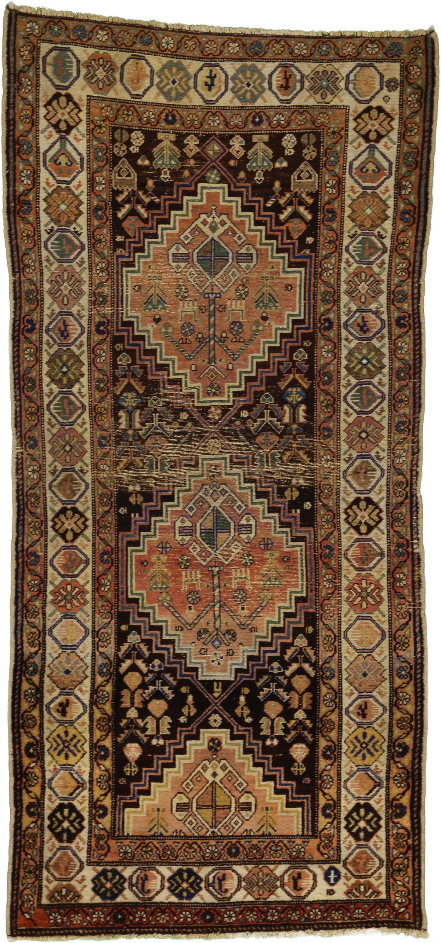 AORug#1909 size. 3' 04" x 7' 03"