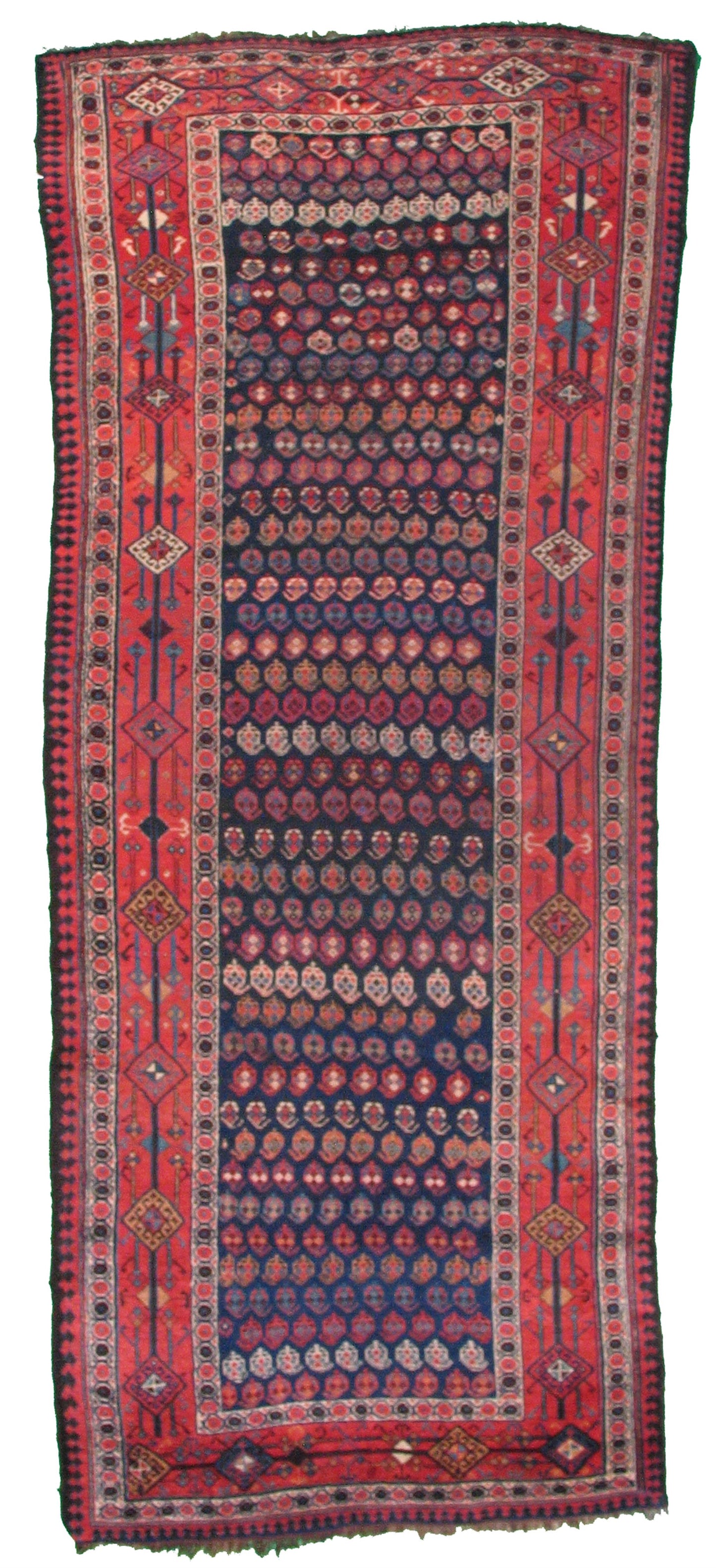 AORug#5330 size. 4' 07" x 11' 04"