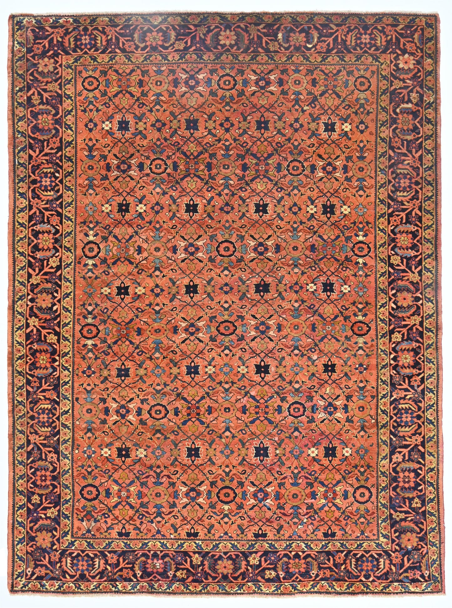 AORug#12627 size. 9' 00" x 12' 03"