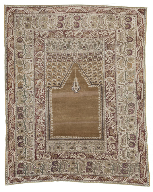 AORug#8251 size. 4' 07" x 6' 06"