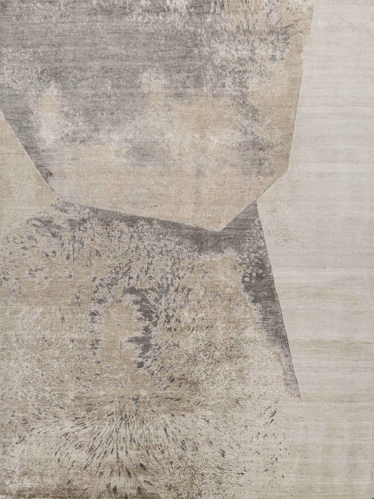 AORug#17561 size. 8' 10" x 12' 02"