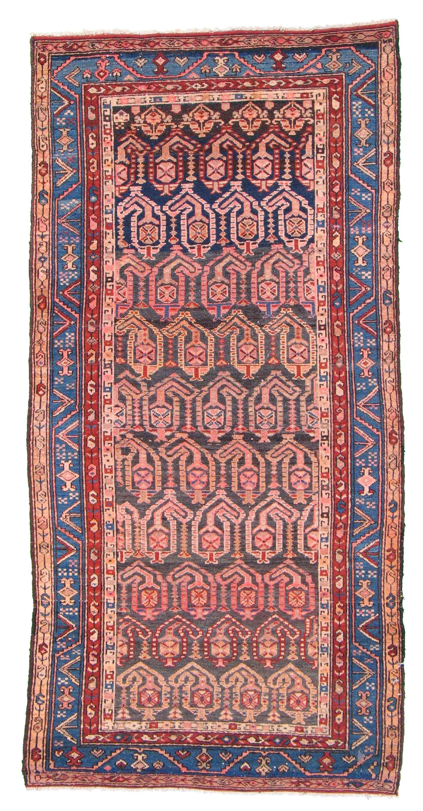 AORug#5207 size. 3' 05" x 6' 08"