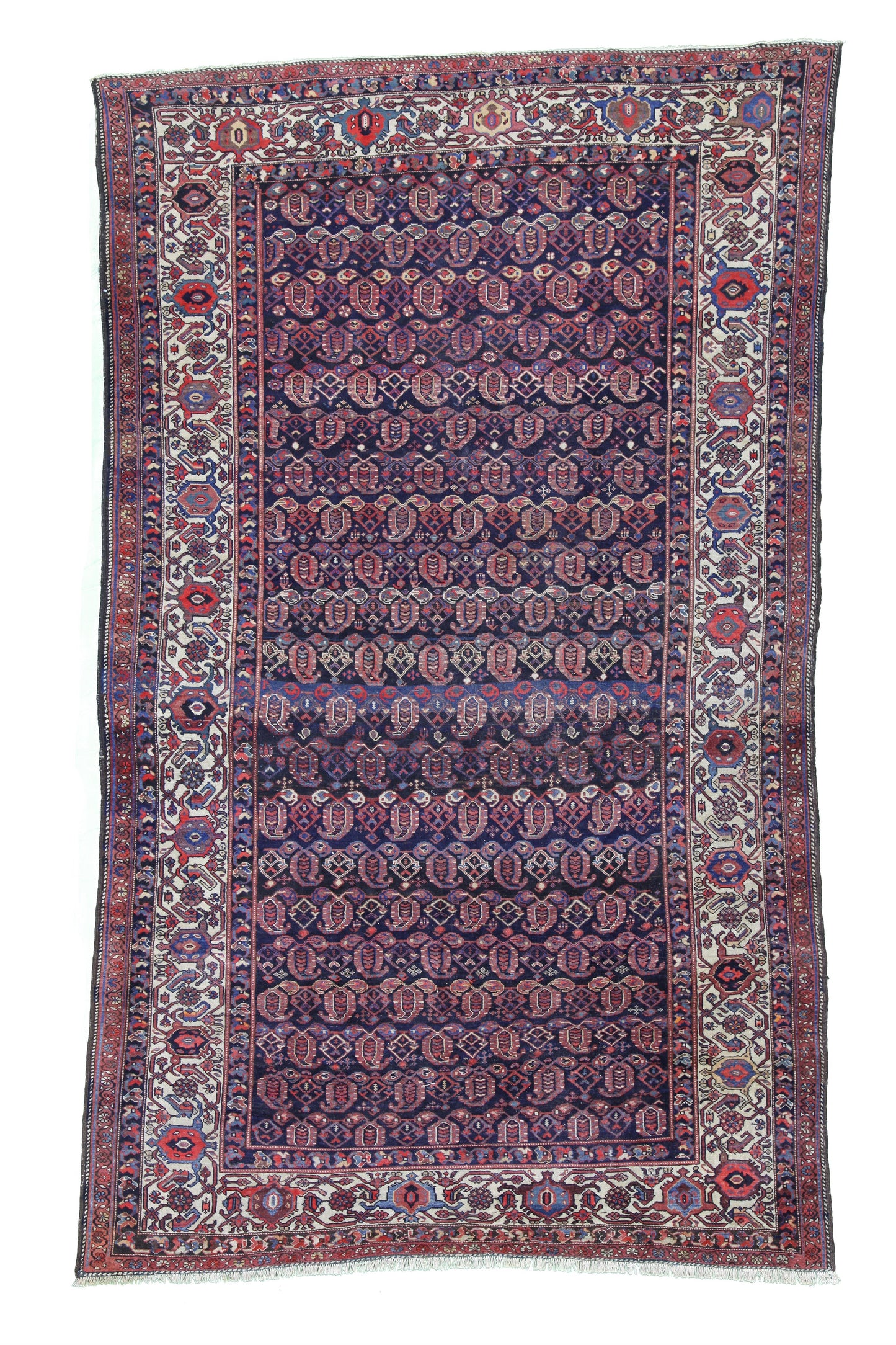 AORug#8132 size. 6' 09" x 11' 02"