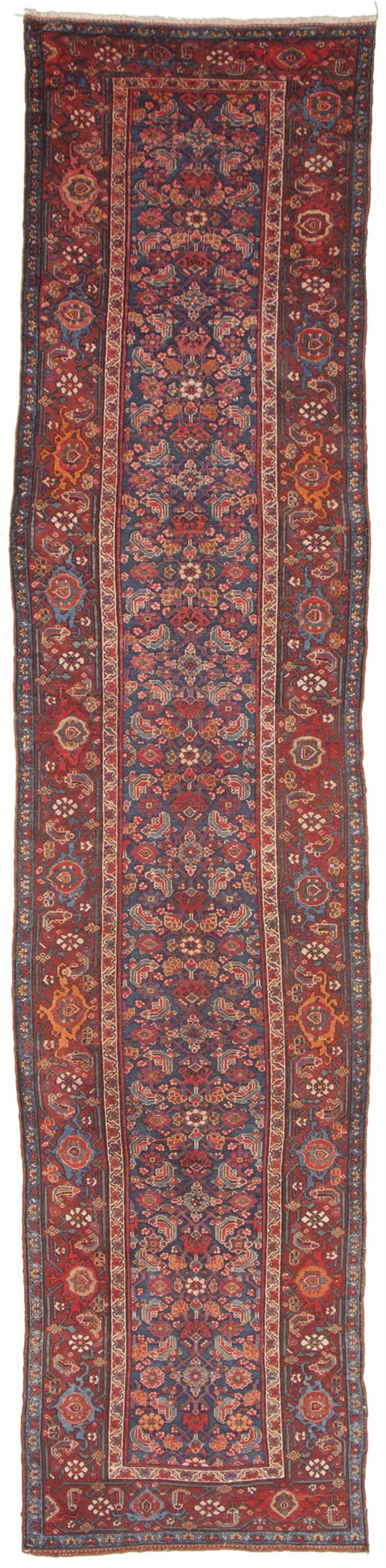 AORug#4573 size. 3' 05" x 15' 05"