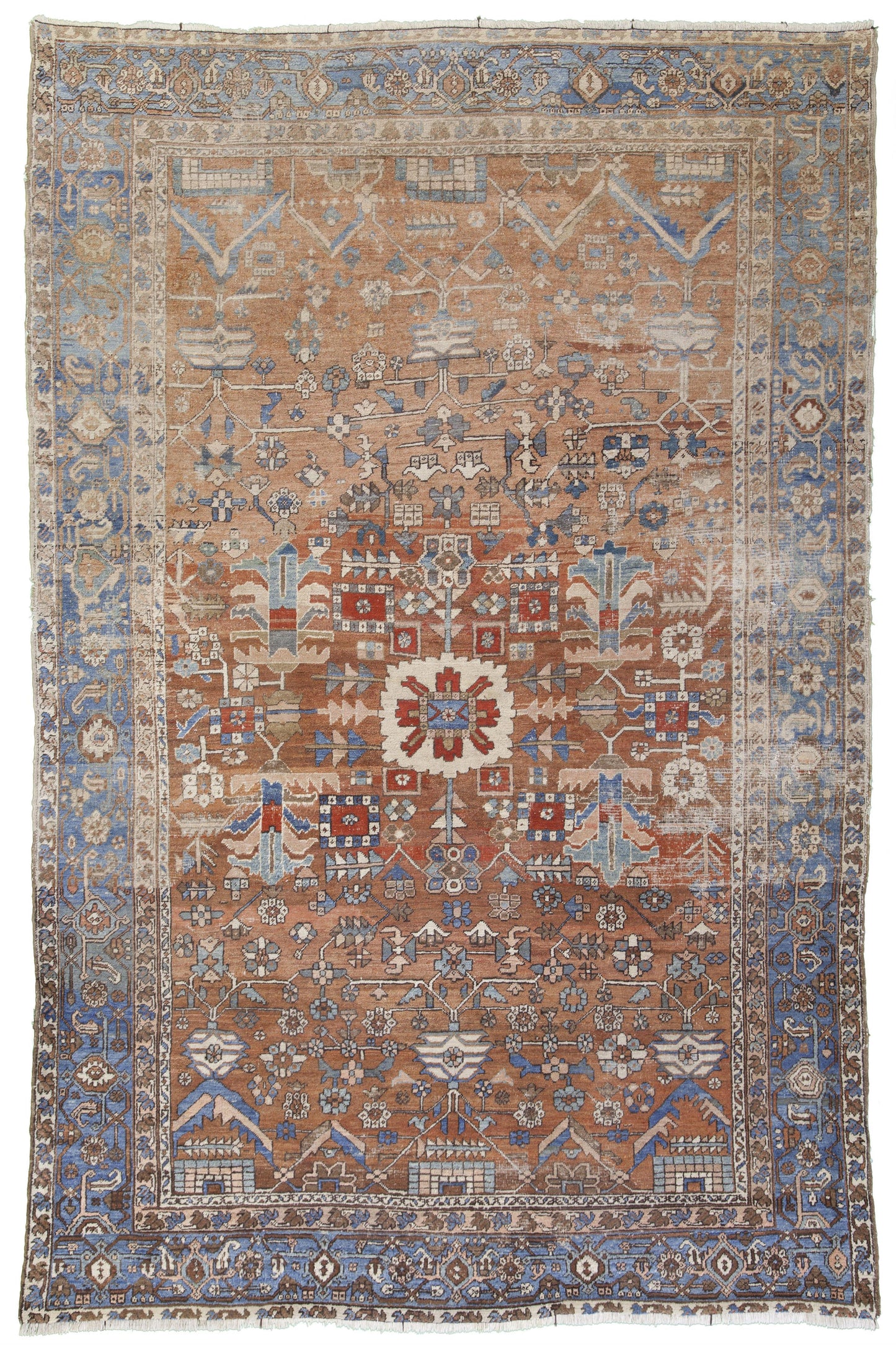 AORug#8517 size. 8' 05" x 12' 00"