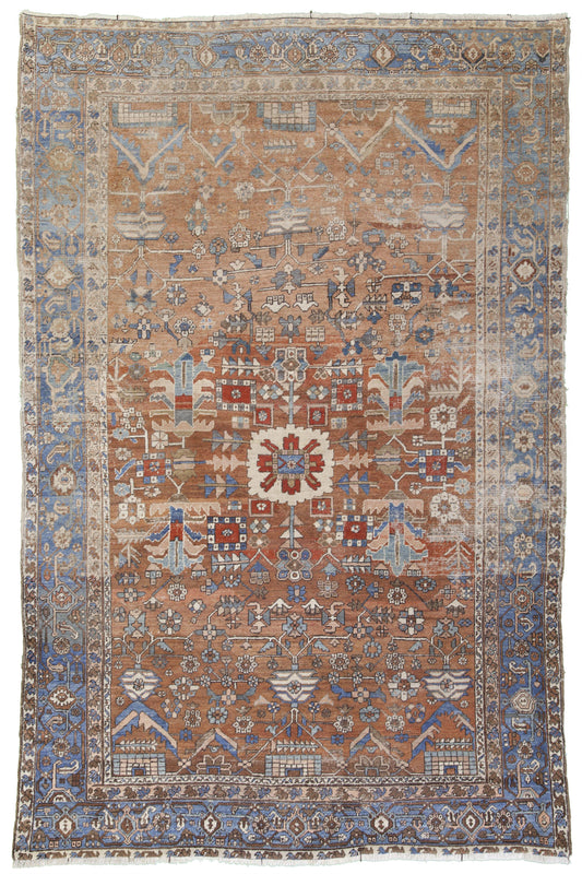 AORug#8517 size. 8' 05" x 12' 00"